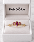 Anillo Elegante con Detalles Brillantes ✨